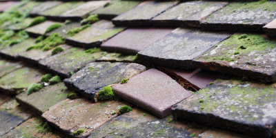 Beulah roof repair costs